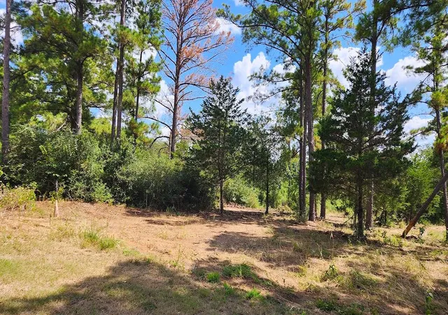 Photo 3 of Land for sale at Tbd Modock Dr, Bastrop, TX 78602 | MLS# 9521115 | Listing updated on 2026-09-25