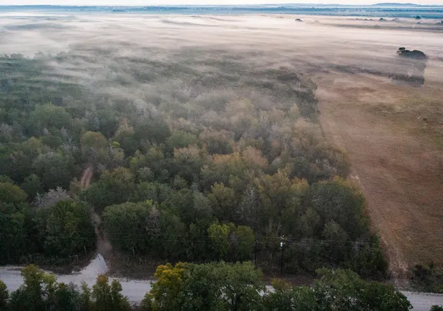 1st image of Tbd St Delight Rd, Paige, TX 78659 | MLS# 9779761