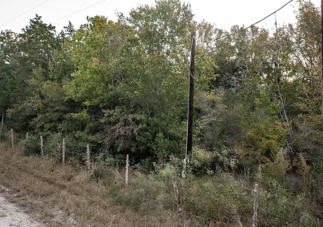 21st image of Tbd St Delight Rd, Paige, TX 78659 | MLS# 9779761