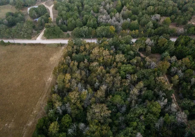 4th image of Tbd St Delight Rd, Paige, TX 78659 | MLS# 9779761