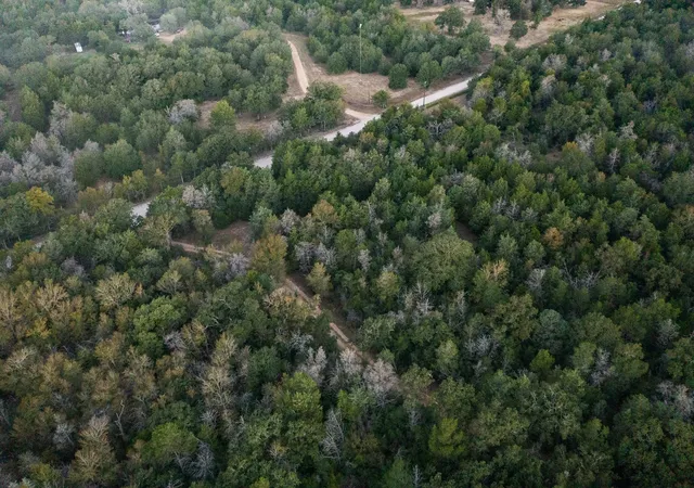 5th image of Tbd St Delight Rd, Paige, TX 78659 | MLS# 9779761