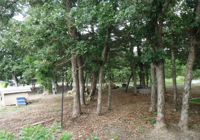 18th image of 191 Hickory Ln, Elgin, TX 78621 | MLS# 3813782