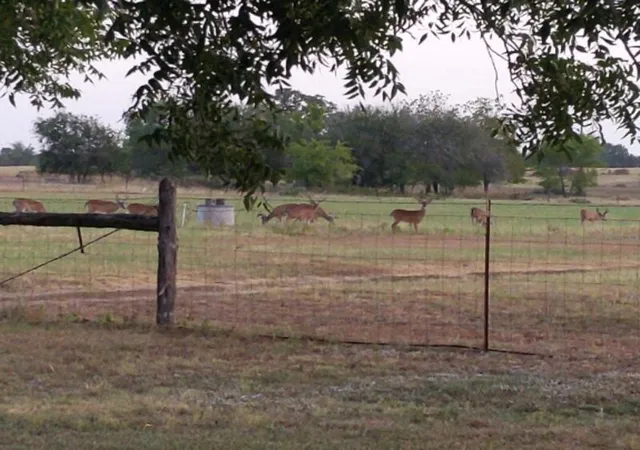 1st image of 10905 S Fm 1915 Fm 1915 Hwy, Buckholts, TX 76518 | MLS# 5938982