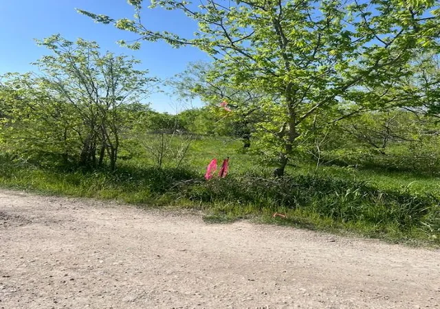8th image of W Brook St(lot #2, Bk 72) W Brook St, Bartlett, TX 76511 | MLS# 4298643