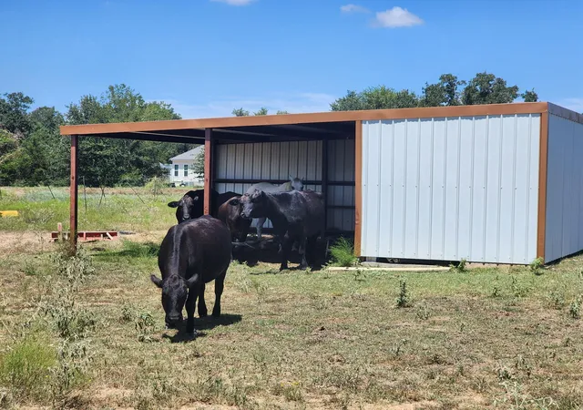 5th image of 668 Fairview Dr, Rockdale, TX 76567 | MLS# 7643214