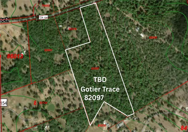 1st image of Tbd Gotier Trace Rd, Paige, TX 78659 | MLS# 5303235
