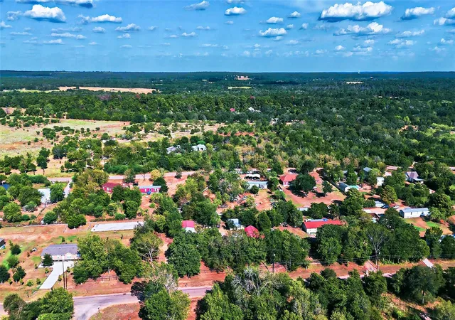 40th image of 110 Swift Ln, Bastrop, TX 78602 | MLS# 4948906