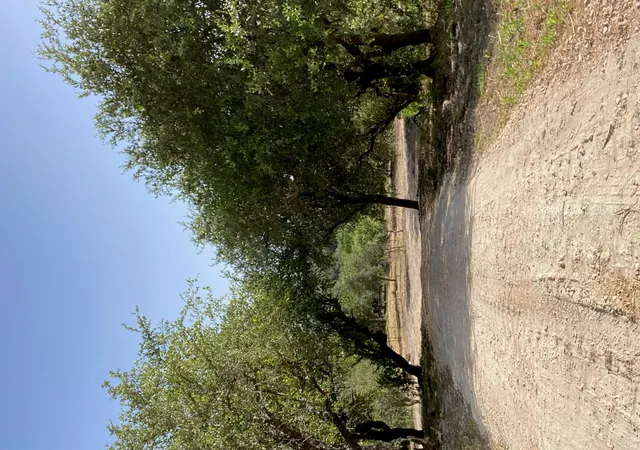 2nd image of 6709 Singleton Bend Rd #4, Marble Falls, TX 78654 | MLS# 7817450