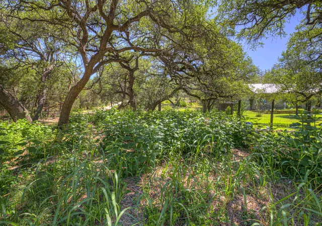 5th image of 130 Lazy Leaf, Wimberley, TX 78676 | MLS# 4225255