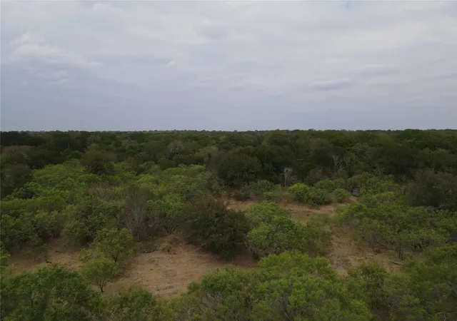 Photo 3 of Land for sale at 1285 Burdette Wells Rd, Lockhart, TX 78644 | MLS# 6587390 | Listing updated on 2026-09-03