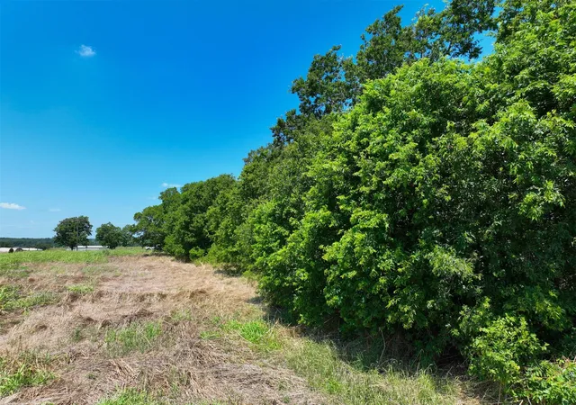1st image of Lot 1 Cr 142 Rd, Cameron, TX 76520 | MLS# 8702431