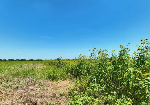 1st image of Lot 2 Cr 142 Rd, Cameron, TX 76520 | MLS# 9591906