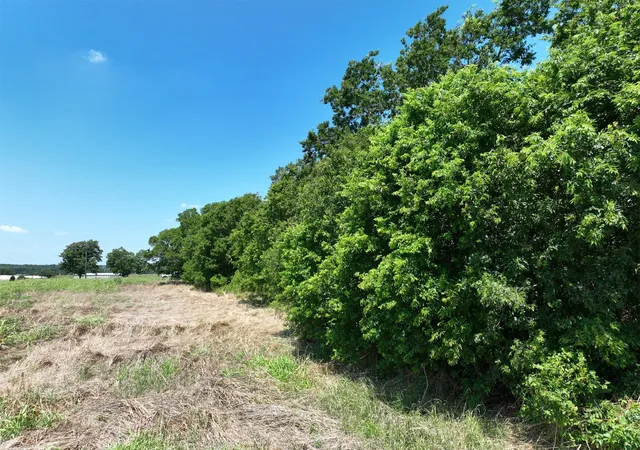 3rd image of Lot 2 Cr 142 Rd, Cameron, TX 76520 | MLS# 9591906