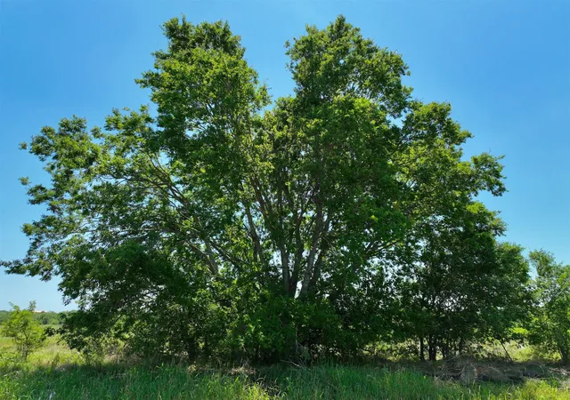 4th image of Lot 2 Cr 142 Rd, Cameron, TX 76520 | MLS# 9591906