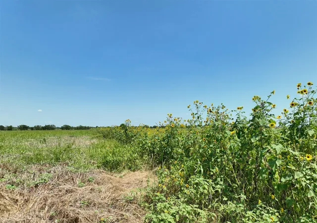 8th image of Lot 2 Cr 142 Rd, Cameron, TX 76520 | MLS# 9591906