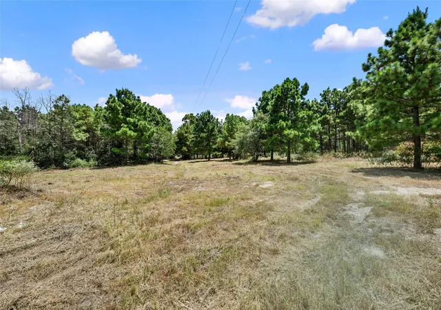 37th image of 186 Hook Em Horns Dr, Paige, TX 78659 | MLS# 2197355