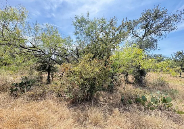 Photo 2 of Land for sale at 387 Rosehill Dr, Granite Shoals, TX 78654 | MLS# 9997193 | Listing updated on 2026-08-26