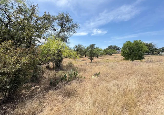 Photo 3 of Land for sale at 387 Rosehill Dr, Granite Shoals, TX 78654 | MLS# 9997193 | Listing updated on 2026-08-26