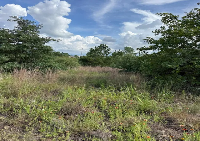 Photo 1 of Land for sale at Lots 89 90 Pintail Ln, Bastrop, TX 78602 | MLS# 1657683 | Listing updated on 2026-08-20