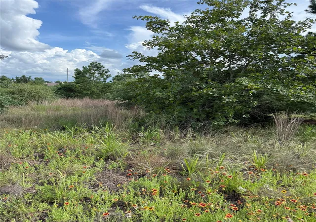 Photo 2 of Land for sale at Lots 89 90 Pintail Ln, Bastrop, TX 78602 | MLS# 1657683 | Listing updated on 2026-08-20