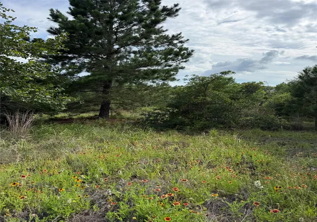 Photo 3 of Land for sale at Lots 89 90 Pintail Ln, Bastrop, TX 78602 | MLS# 1657683 | Listing updated on 2026-08-20