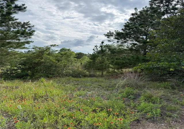 Photo 3 of Land for sale at Lots 89-90 Pintail Ln, Bastrop, TX 78602 | MLS# 1657683 | Listing updated on 2026-08-20