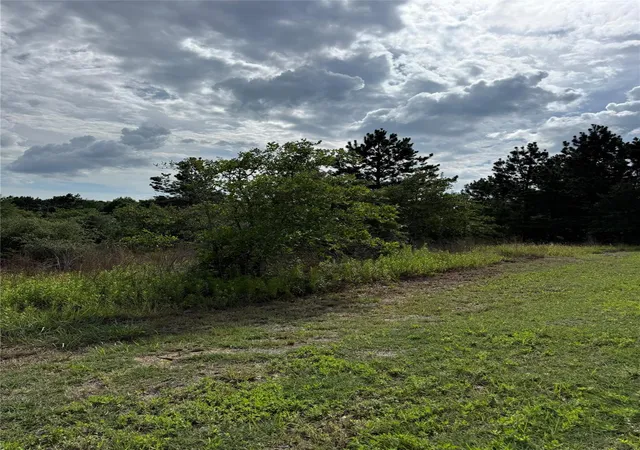 Photo 4 of Land for sale at Lots 89-90 Pintail Ln, Bastrop, TX 78602 | MLS# 1657683 | Listing updated on 2026-08-20