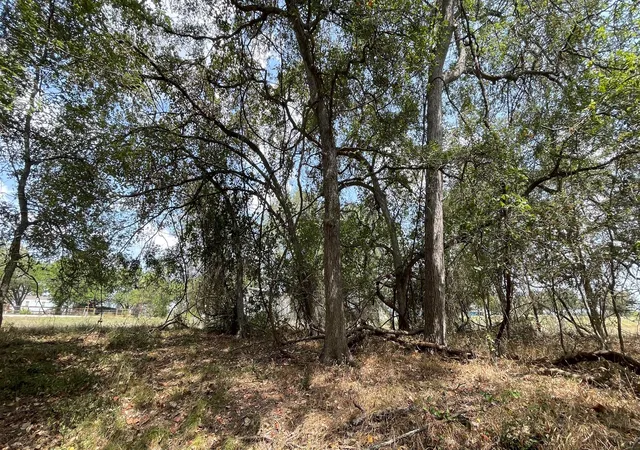 6th image of 109 Patti Cv S, Bastrop, TX 78602 | MLS# 4397539