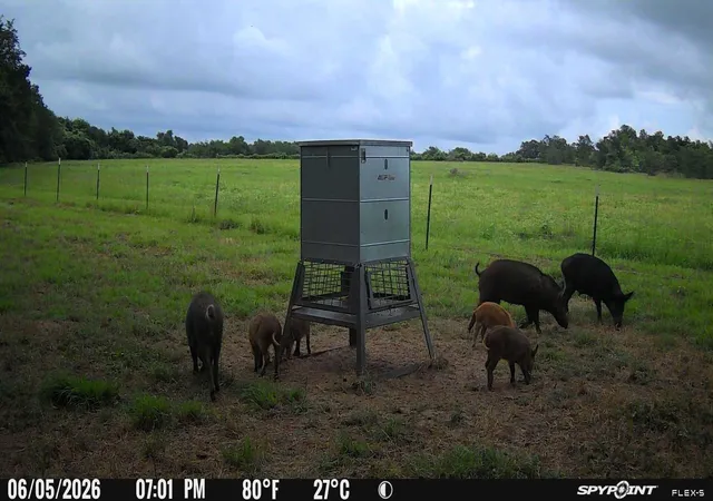 2nd image of 0000 Tbd Fm 979, Cameron, TX 76520 | MLS# 9839503
