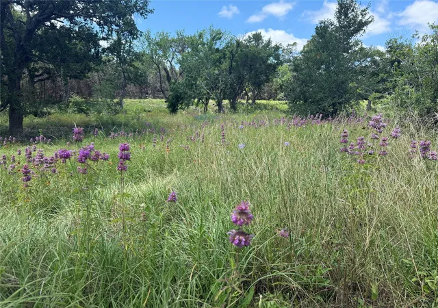 Photo 2 of Land for sale at 5150 Cr 254, Bertram, TX 78605 | MLS# 6957030 | Listing updated on 2026-09-21
