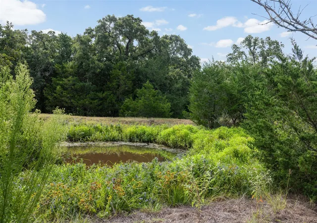 3rd image of 3555 County Road 430, Dime Box, TX 77853 | MLS# 3056425