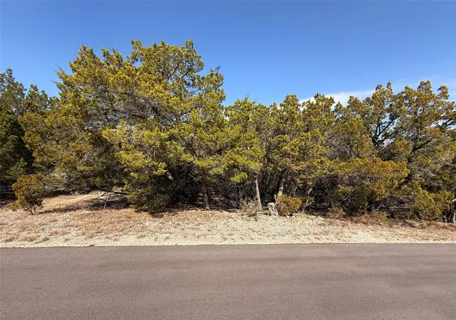 1st image of 20206 Lee Ln, Leander, TX 78645 | MLS# 3588279
