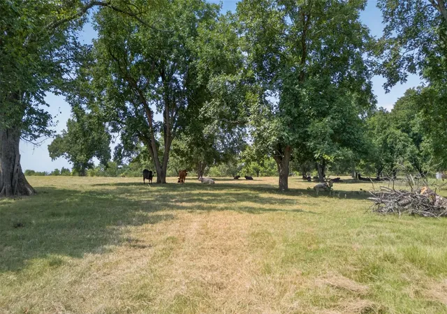 3rd image of 0 State Hwy 155 & Cr 435, Frankston, TX 75763 | MLS# 5417012