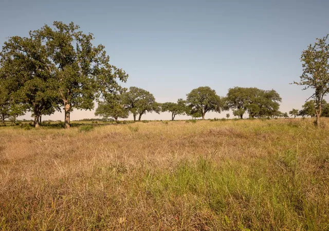 3rd image of 367 Gipson Rd, Johnson City, TX 78636 | MLS# 3448935