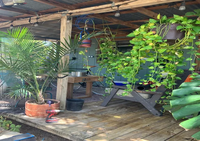 Photo 3 of Single family home for sale at 1903 Elysian Flds, Austin, TX 78727 | MLS# 2186241 | Listing updated on 2026-08-17