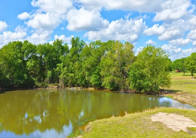22nd image of 5916 Private Road 2003 (+/  12 Acres), Caldwell, TX 77836 | MLS# 2479053