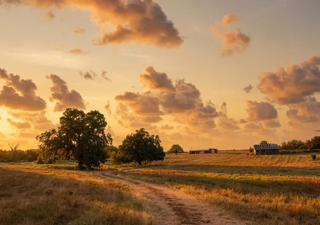 3rd image of 5043 Old Waelder Rd, Flatonia, TX 78941 | MLS# 6991237