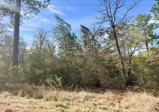Photo 1 of Land for sale at 106 Olomana Ct, Bastrop, TX 78602 | MLS# 4096789 | Listing updated on 2026-08-14