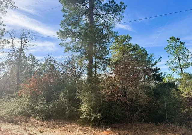 Photo 3 of Land for sale at 106 Olomana Ct, Bastrop, TX 78602 | MLS# 4096789 | Listing updated on 2026-08-14