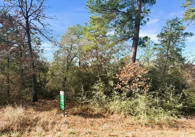 Photo 3 of Land for sale at 106 Olomana Ct, Bastrop, TX 78602 | MLS# 4096789 | Listing updated on 2026-08-14