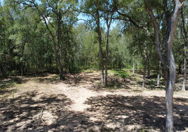 Photo 3 of Land for sale at 959 Carter Rd, Dale, TX 78616 | MLS# 1036877 | Listing updated on 2026-08-14