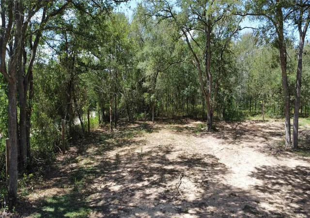 Photo 4 of Land for sale at 959 Carter Rd, Dale, TX 78616 | MLS# 1036877 | Listing updated on 2026-08-14