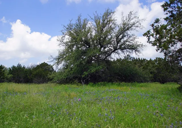 Photo 3 of House for sale at 350 Apache Springs Rd, Briggs, TX 78608 | MLS# 9134233 | Listing updated on 2026-09-25