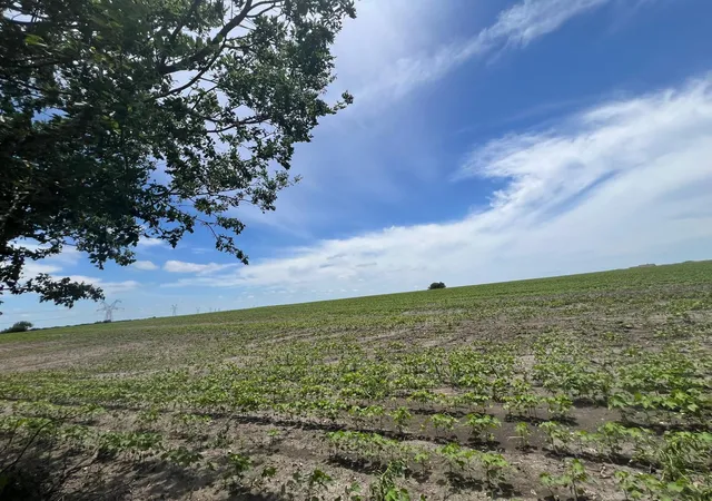 2nd image of 000 County Rd 327 Rd, Granger, TX 76530 | MLS# 4939095