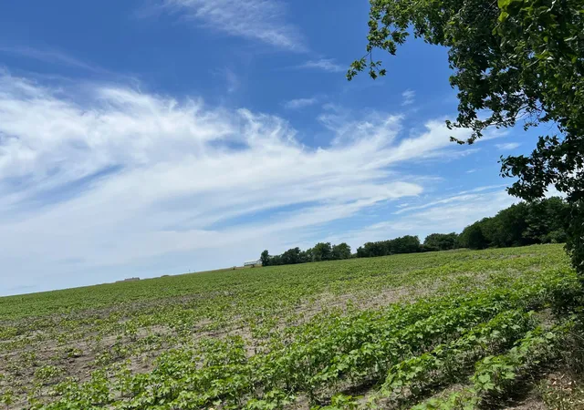 3rd image of 000 County Rd 327 Rd, Granger, TX 76530 | MLS# 4939095