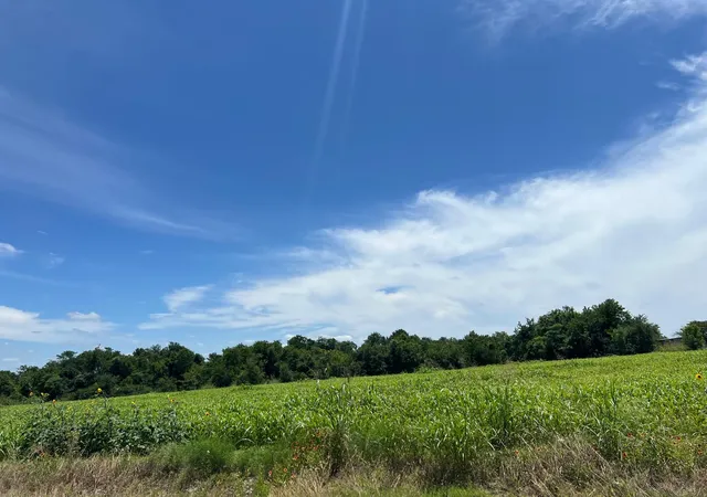 4th image of 000 County Rd 327 Rd, Granger, TX 76530 | MLS# 4939095