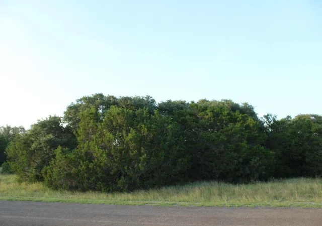22nd image of Lot 194 Whitewater Dr Dr, Bertram, TX 78605 | MLS# 2302950