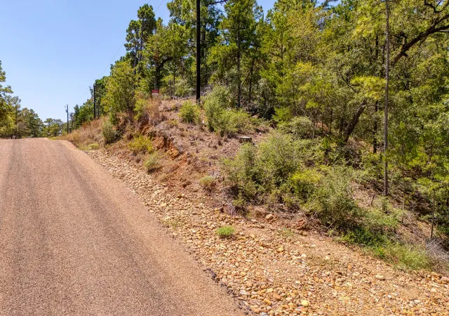 Photo 3 of Land for sale at 168 Molokini Dr, Bastrop, TX 78602 | MLS# 9583062 | Listing updated on 2026-08-27