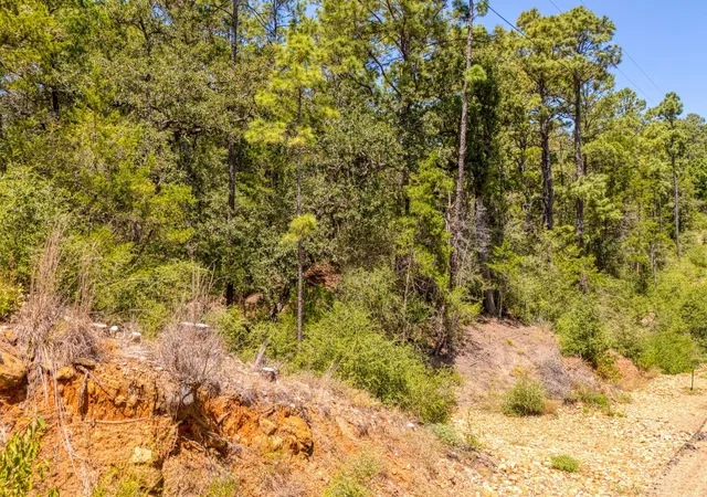 Photo 4 of Land for sale at 168 Molokini Dr, Bastrop, TX 78602 | MLS# 9583062 | Listing updated on 2026-08-27