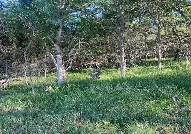 Photo 2 of Land for sale at Lot 768 Kaukonahua Ln, Bastrop, TX 78602 | MLS# 5772406 | Listing updated on 2026-08-17